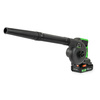 Dmuchawa Wipcool BV100B